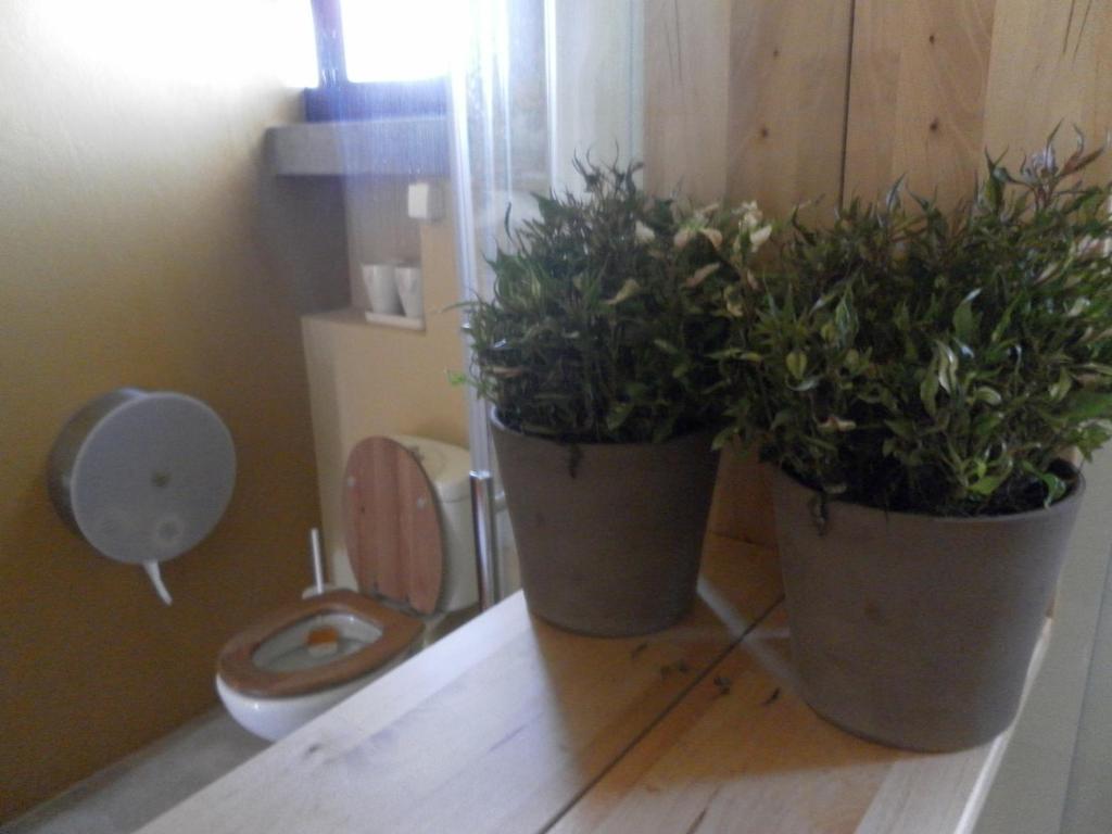 ארייה ברנקה Lemon Tree Hostel חדר תמונה