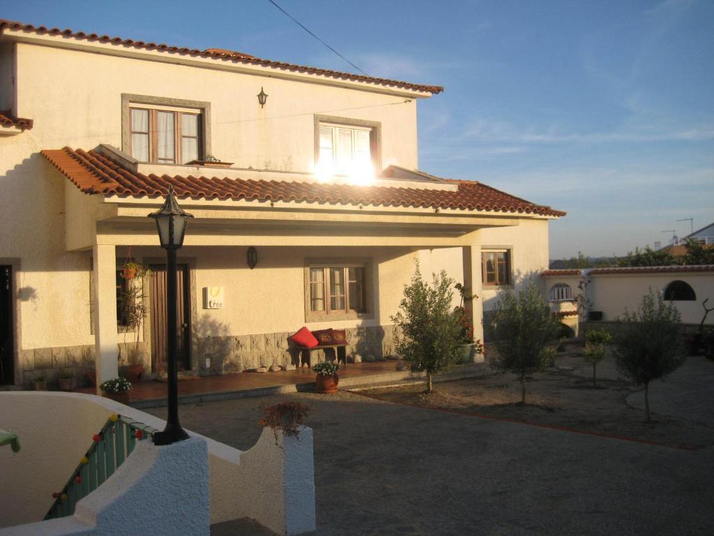 ארייה ברנקה Lemon Tree Hostel חדר תמונה